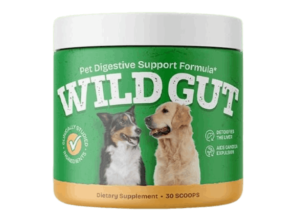 What Is WildGut?